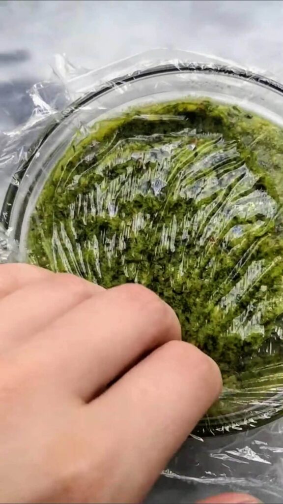 Cling film covering the top of a small glass bowl with basil pesto inside.