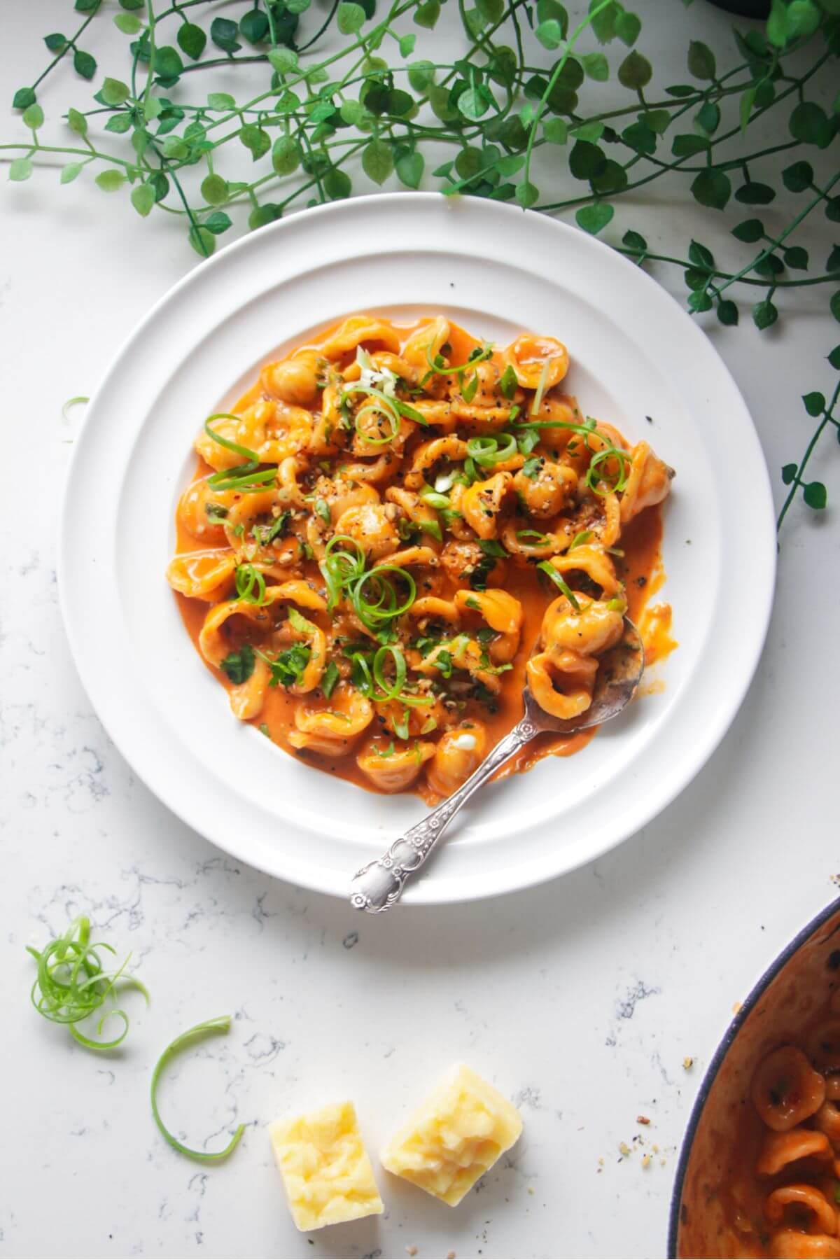 Creamy gochujang pasta topped with green spring onions and coriander, on a white plate.