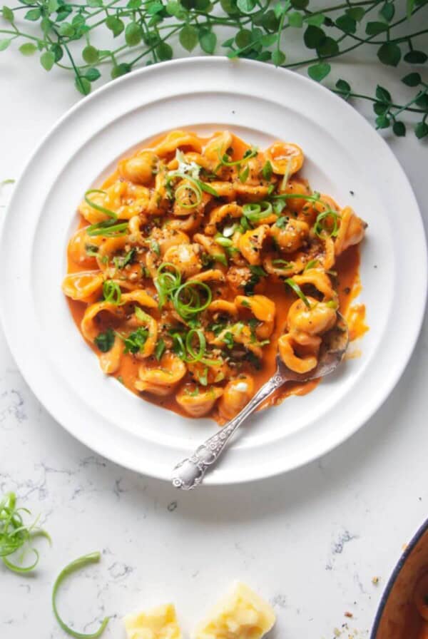 Creamy gochujang pasta topped with green coriander & spring onions on a white plate with a sliver spoon.