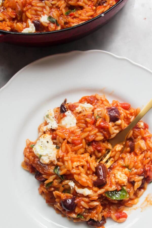 Tomato orzotto on a white plate with pan of more orzo in the background.