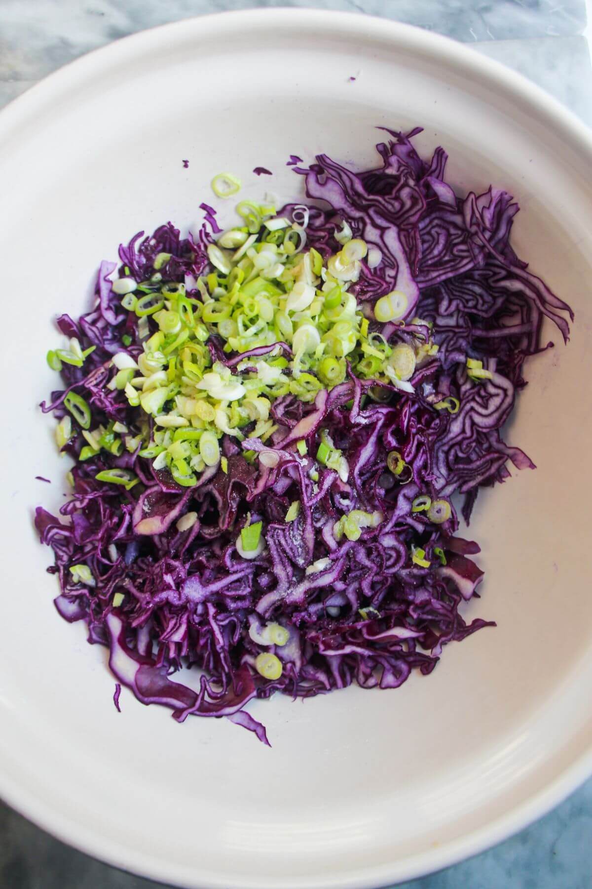 Shredded red cabbage and spring onion in a large mixing bowl.