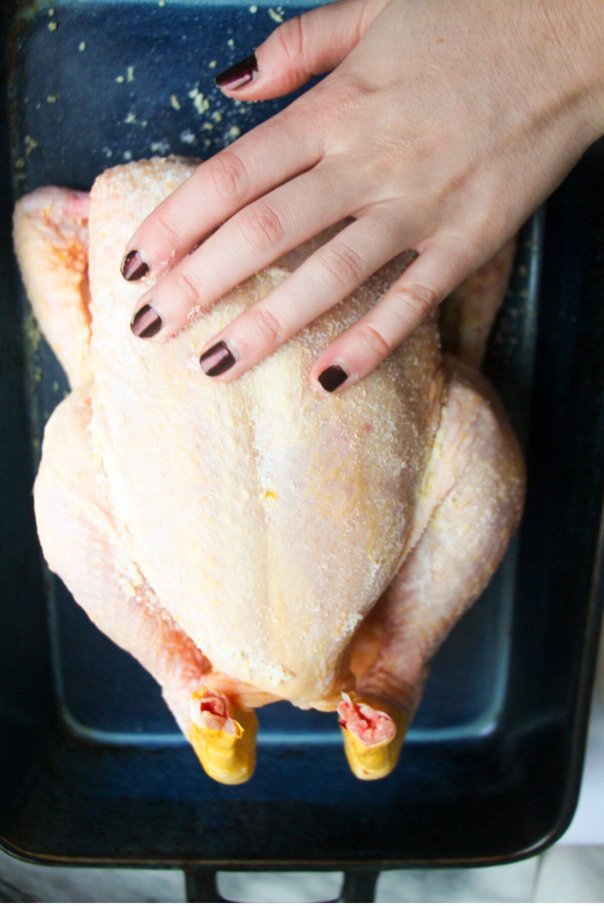 Hand rubbing salt and lemon zest brine onto whole chicken in a blue dish.
