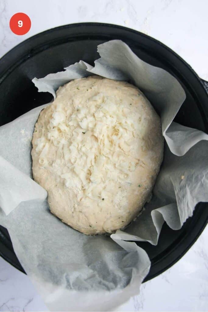 Parmesan topped bread dough in Dutch oven.