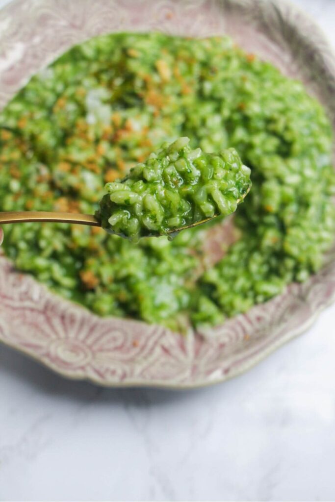 Hand holding up a small gold spoon with green wild garlic risotto on it.