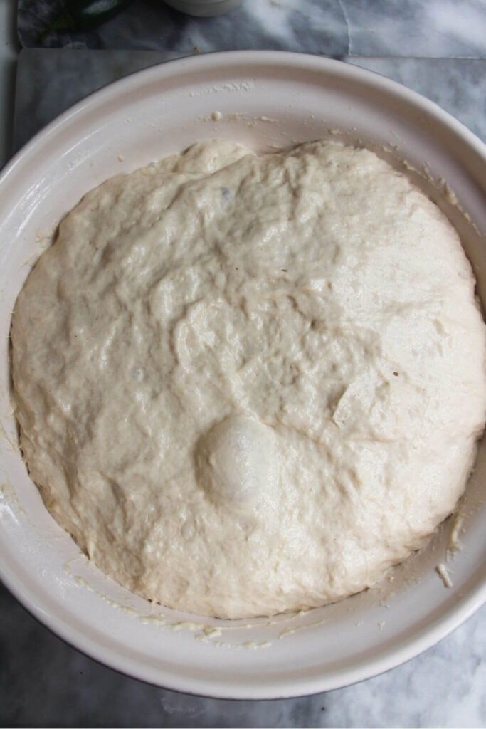 Focaccia dough risen in a large mixing bowl. 