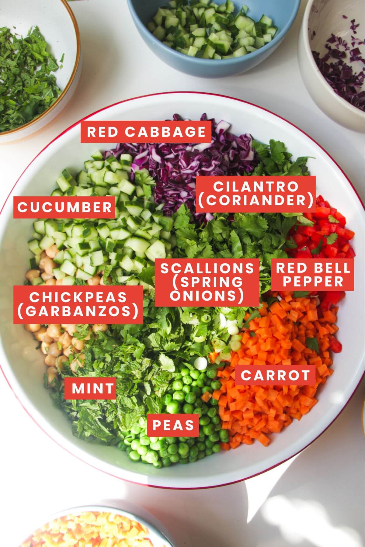 Chopped vegetables in a large white mixing bowl with bowls of more vegetables on the side, labelled with their names.