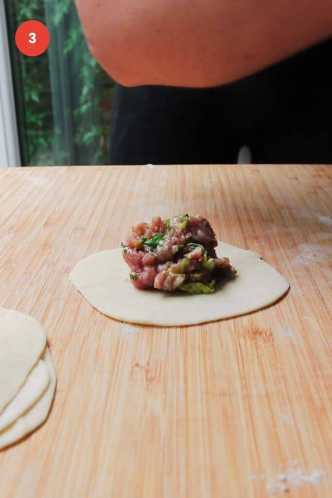 Dumpling mixture on wrapper.
