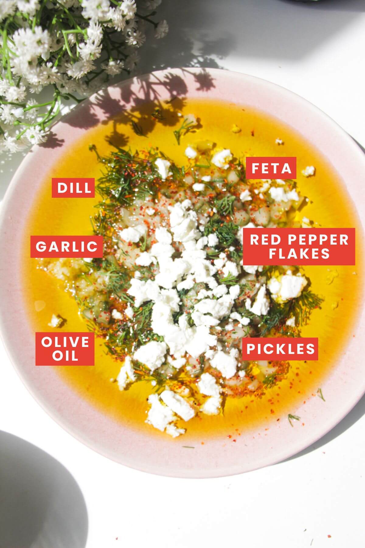 Dill pickle ingredients laid out and labelled.