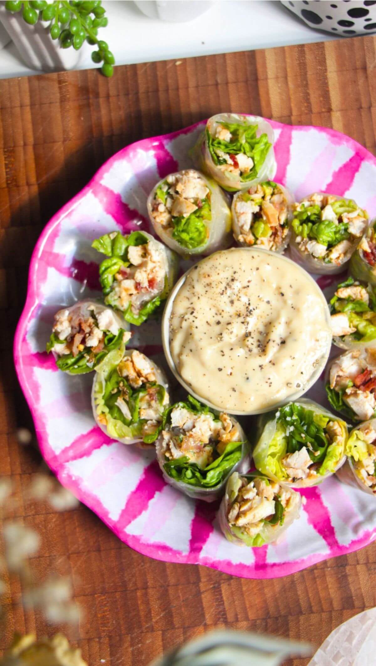 Chicken Caesar rice paper rolls on a pink and white plate.