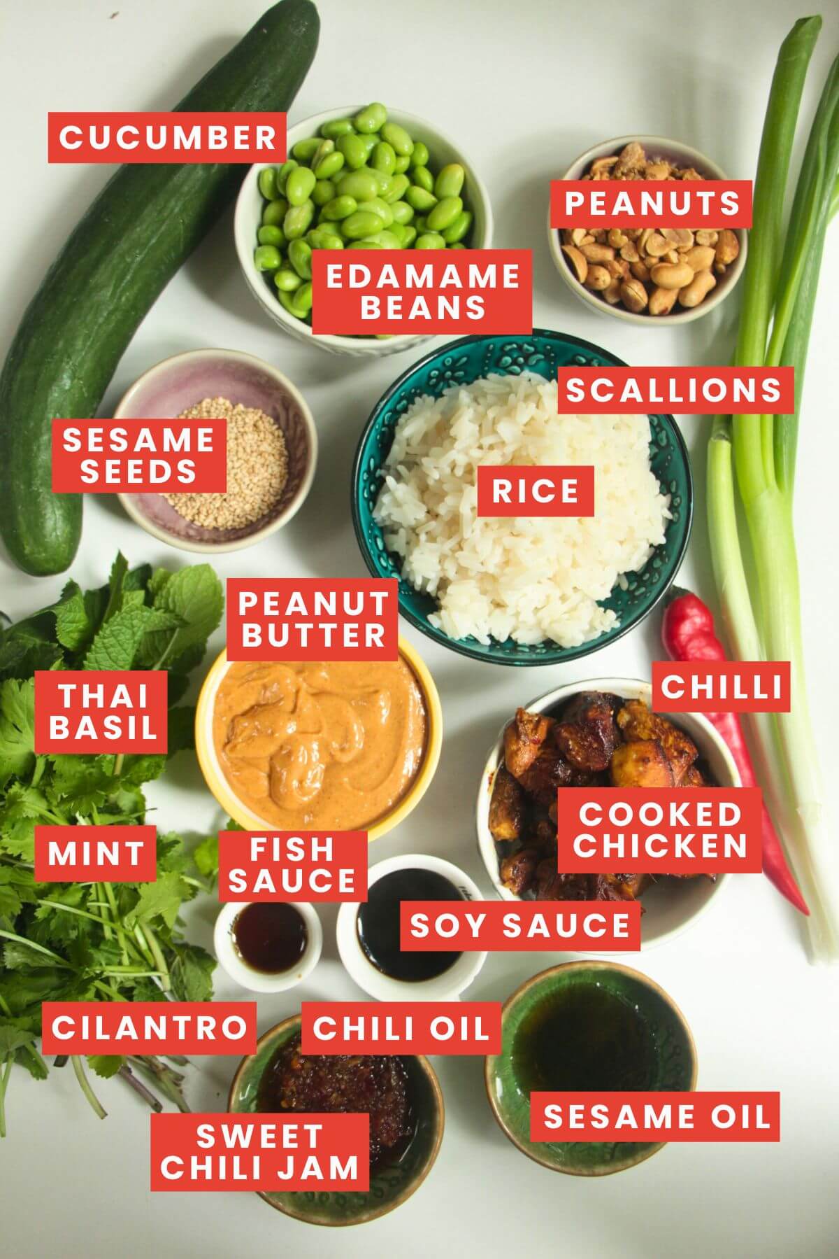 Ingredients for crispy rice salad laid out and labelled.