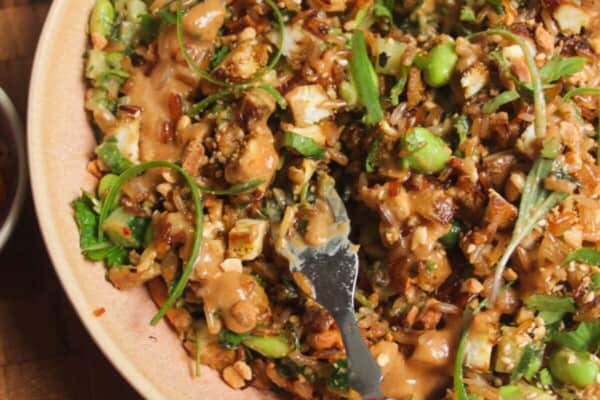 Satay crispy rice salad in a pink bowl.