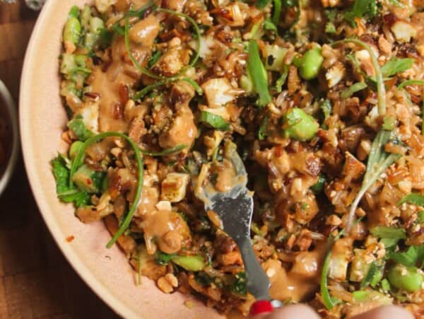Satay crispy rice salad in a pink bowl.