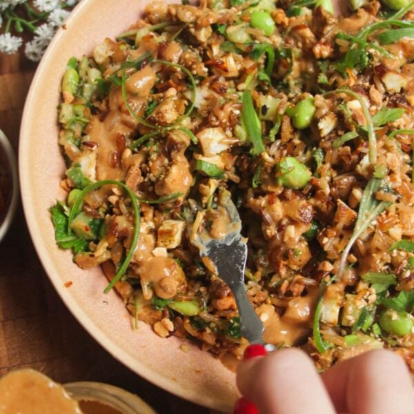 Satay crispy rice salad in a pink bowl.