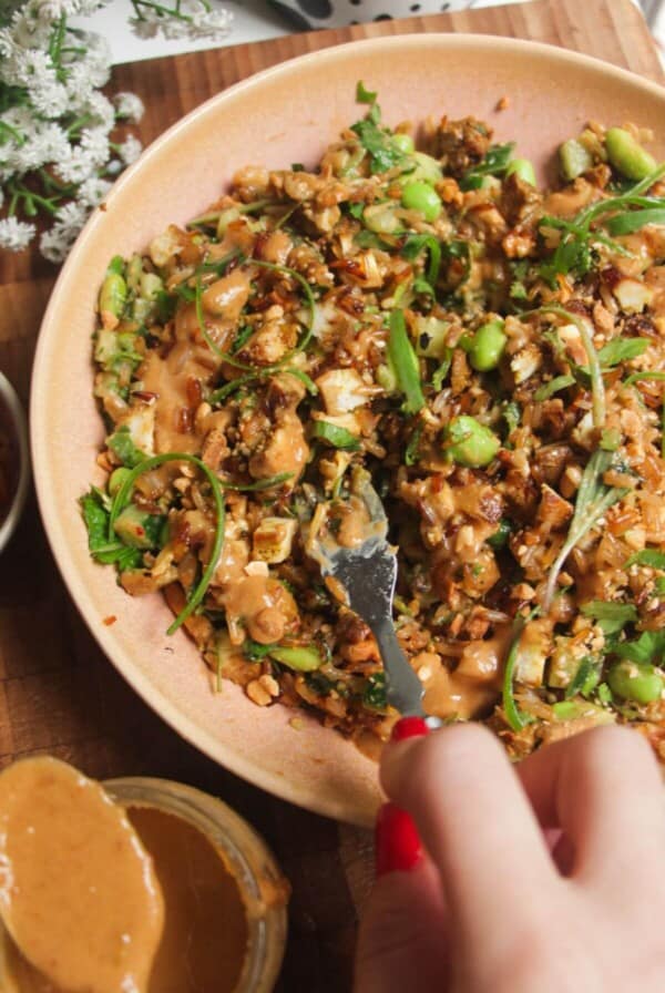 Satay crispy rice salad in a pink bowl.