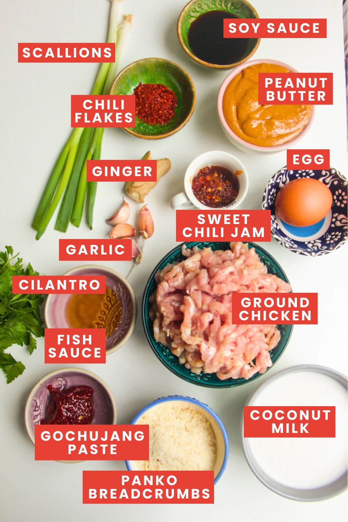 Ingredients for satay chicken meatballs laid out and labelled.