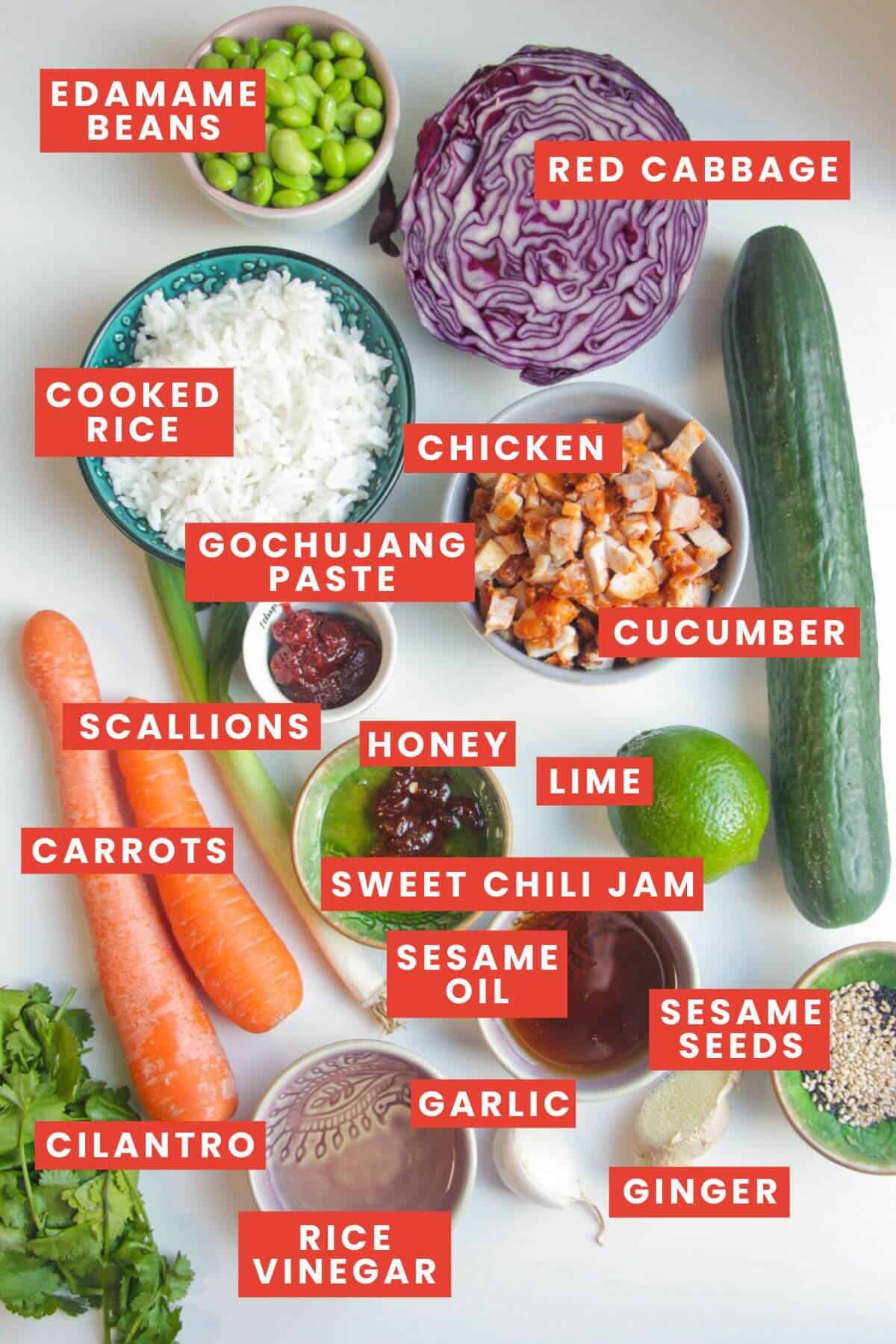 Ingredients for Korean grilled chicken rice salad laid out and labelled.