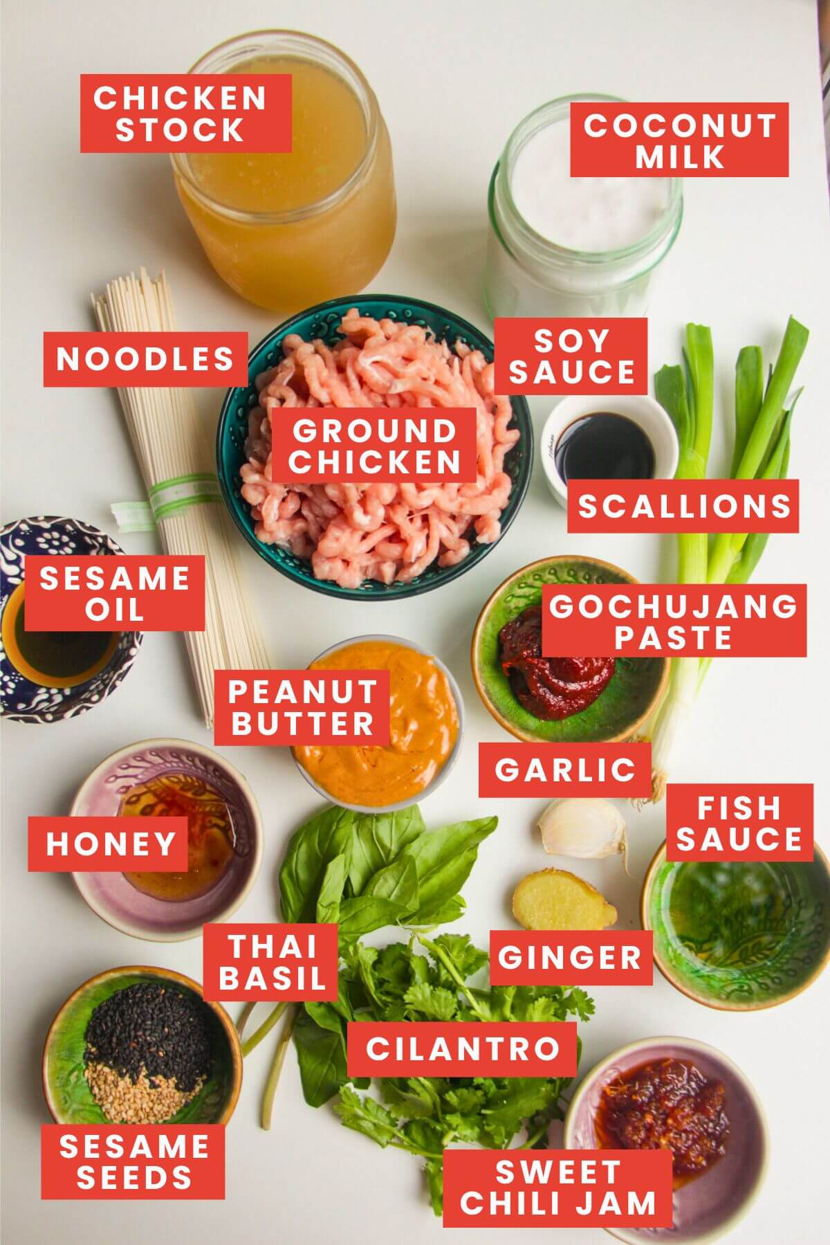 Ingredients for peanut butter noodles laid out and labelled.