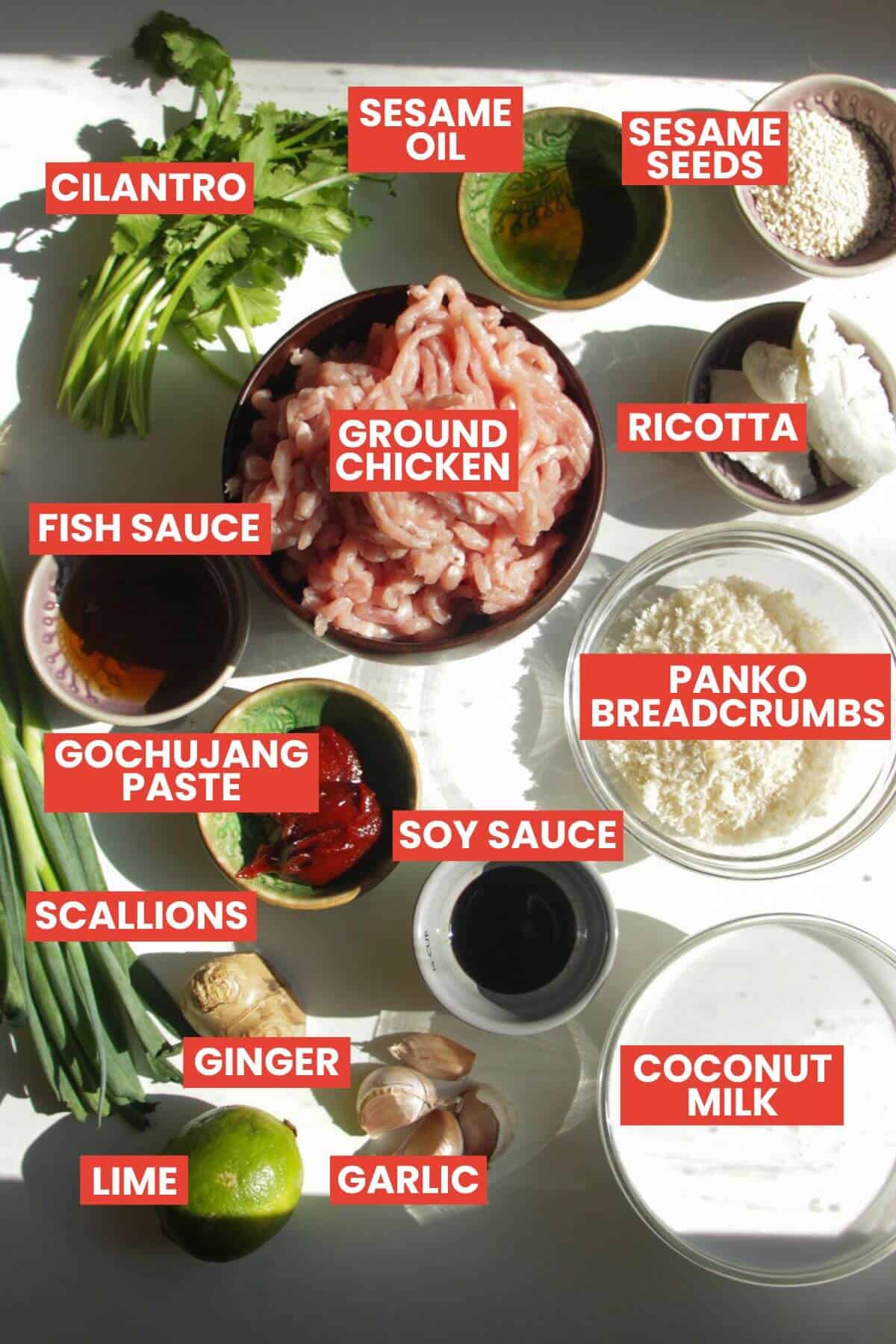 Ingredients for coconut gochujang meatballs laid out and labelled.