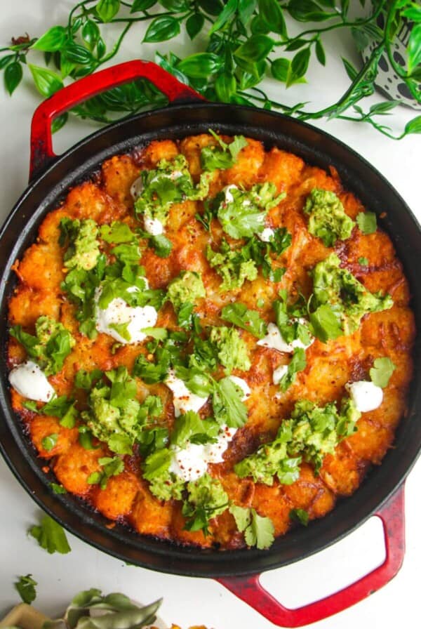 Baked Cowboy Casserole in a large pan with avocado and sour cream on top.