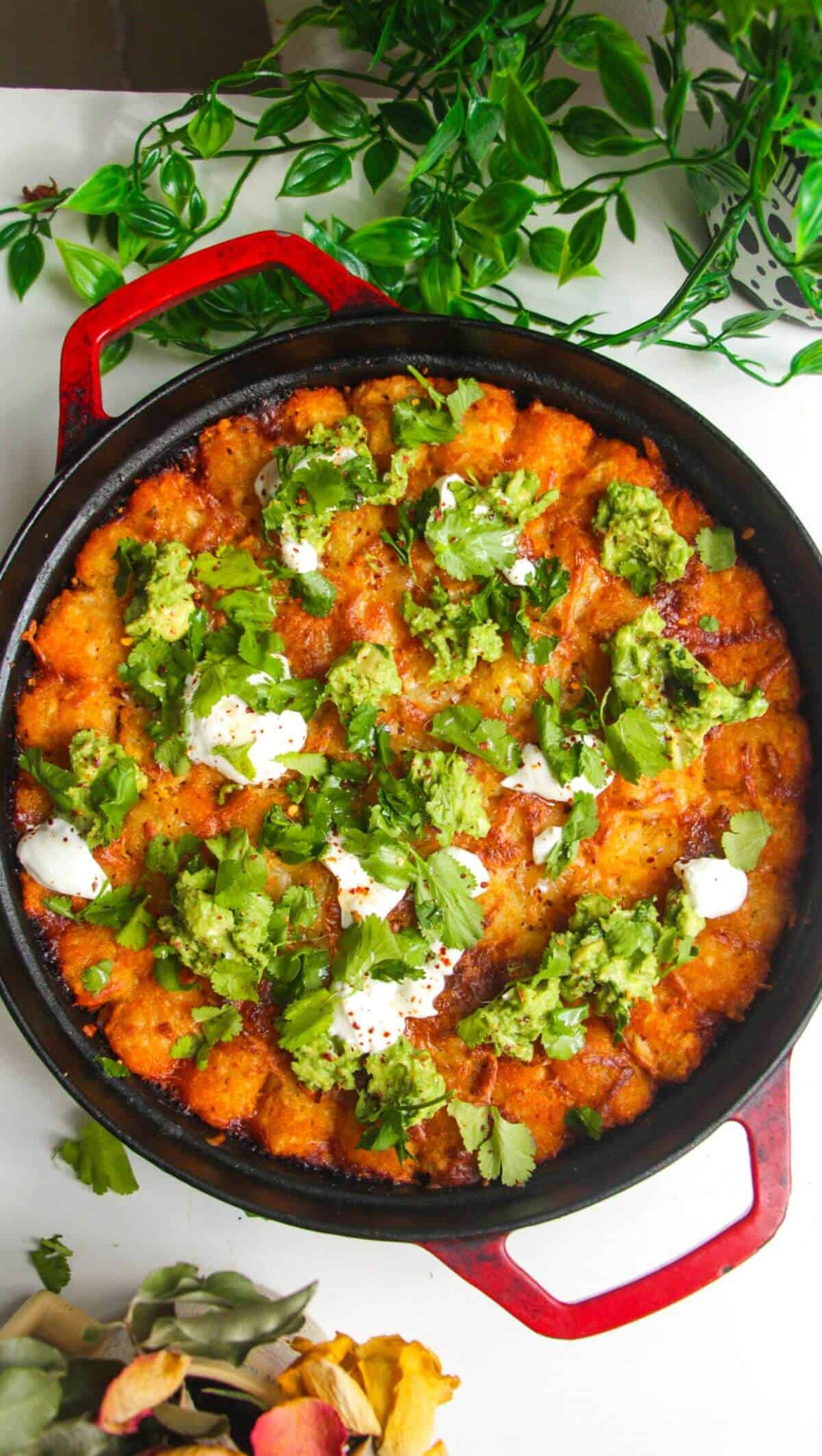 Baked Cowboy Casserole in a large pan with avocado and sour cream on top.