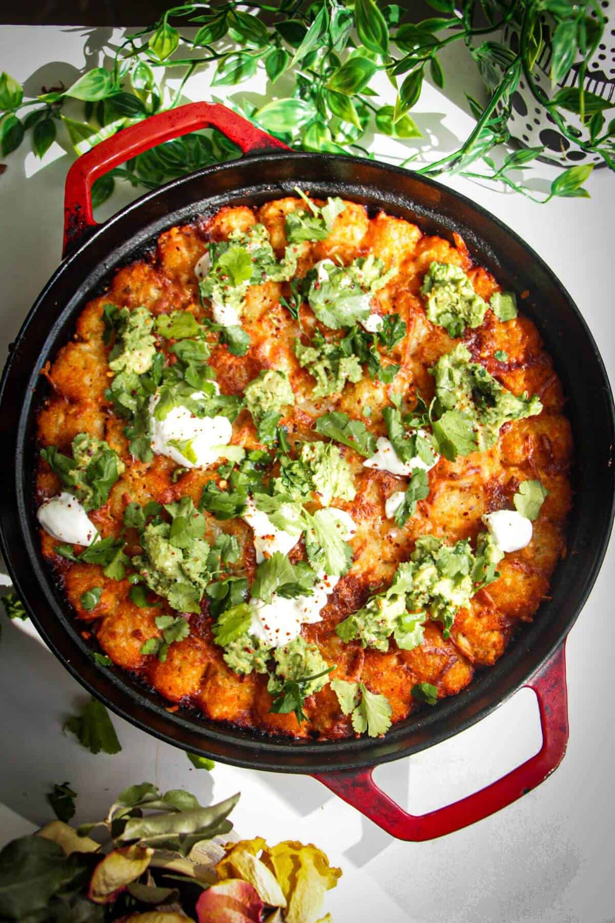 Baked Cowboy Casserole in a large pan with avocado and sour cream on top.