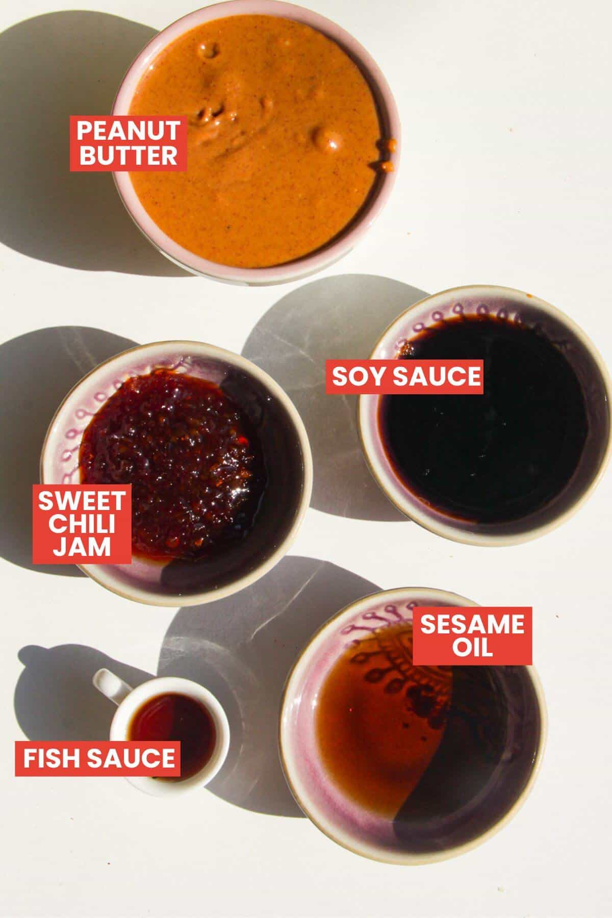 Ingredients for peanut satay peanut sauce laid out and labelled.