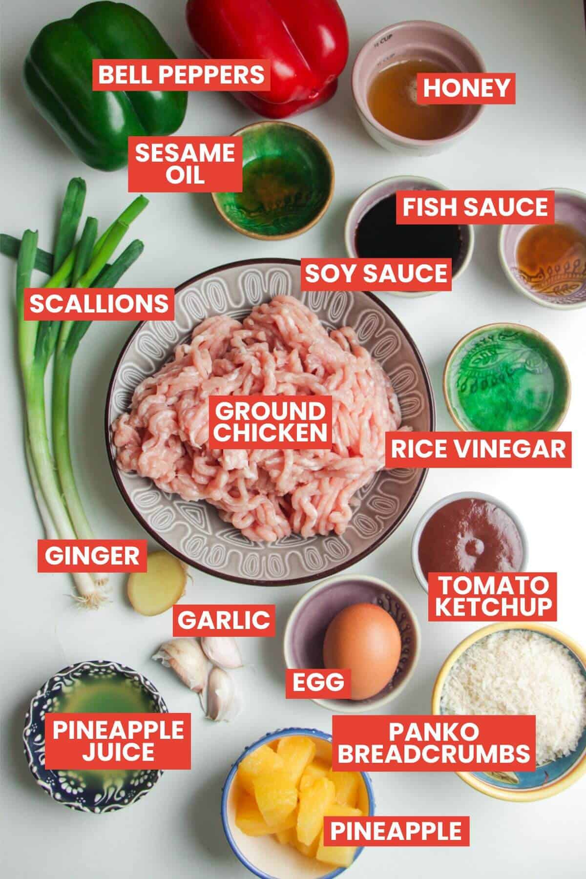 Ingrdients for sweet and sour meatballs laid out and labelled.