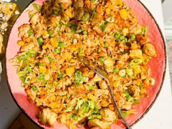 Hand holding pink bowl filled with fried rice.