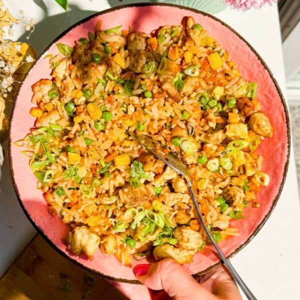 Hand holding pink bowl filled with fried rice.