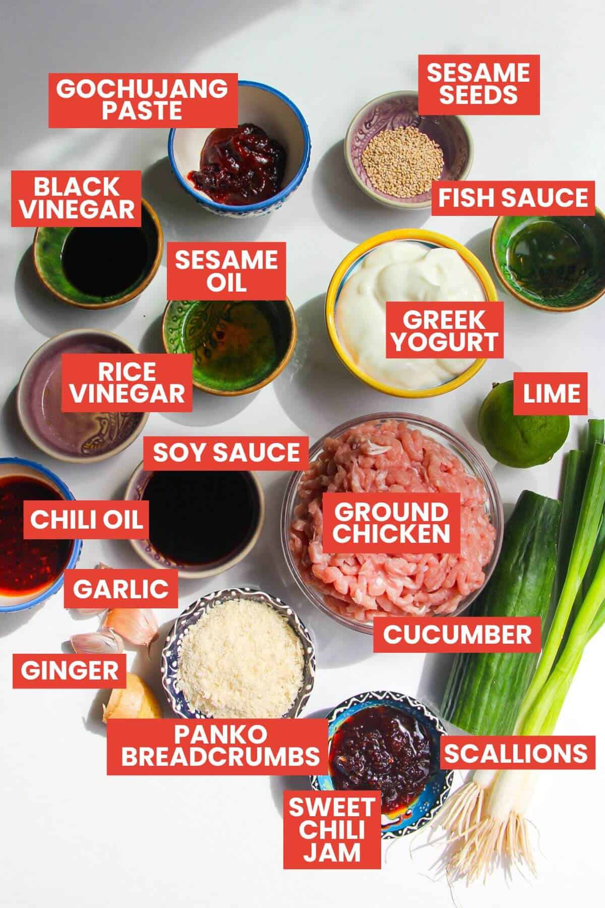 Ingredients for dumpling meatballs laid out and labelled.