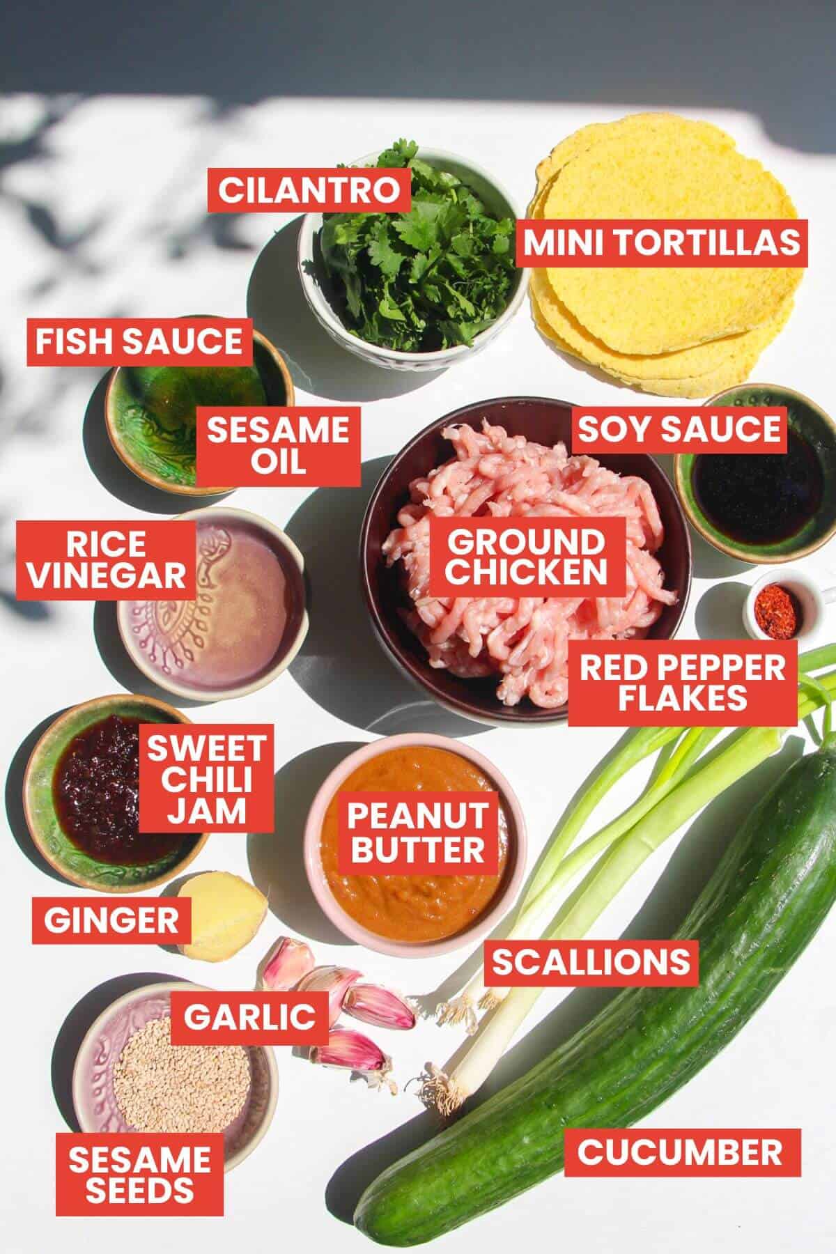 Ingredients for satay tacos laid out and labelled.