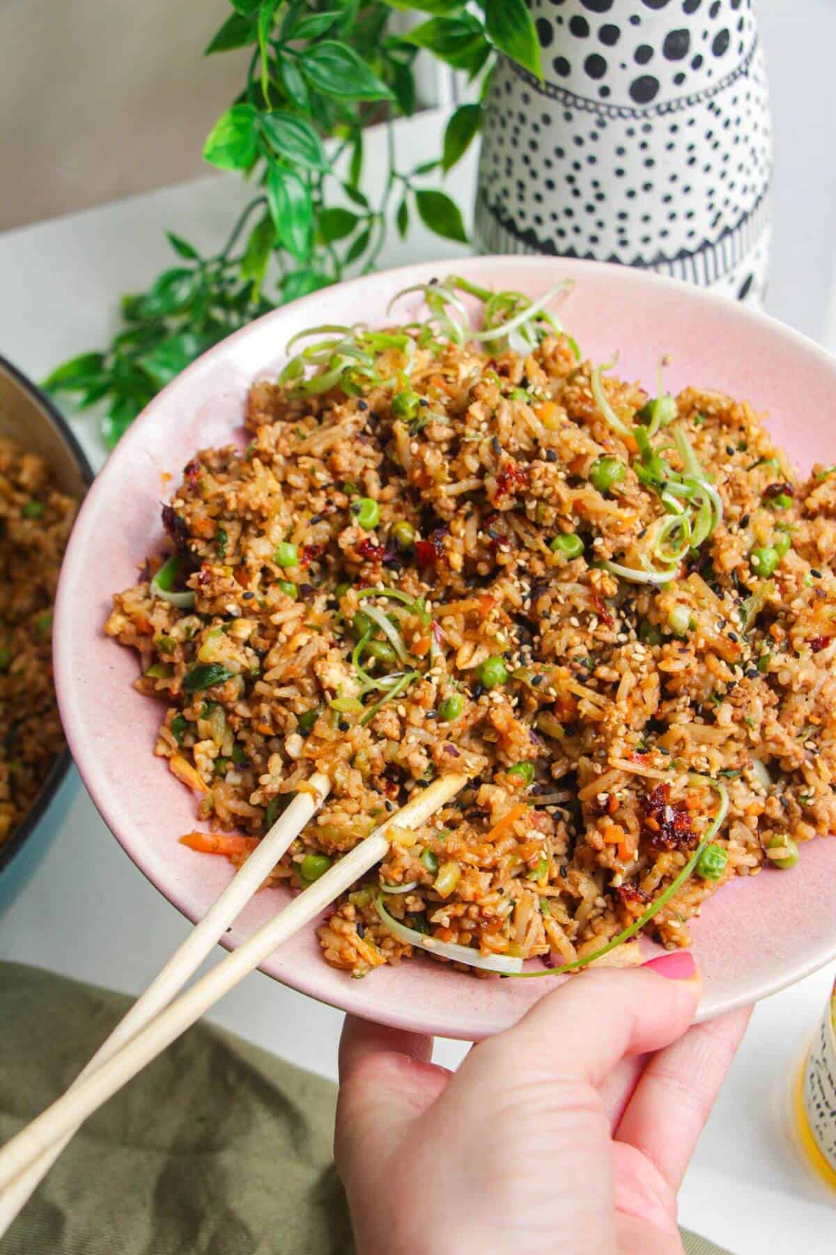 Holding a plate of dumpling inspired fried rice.