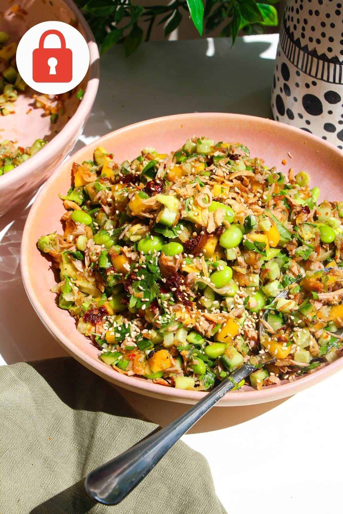 A plate of tuna crispy rice salad.